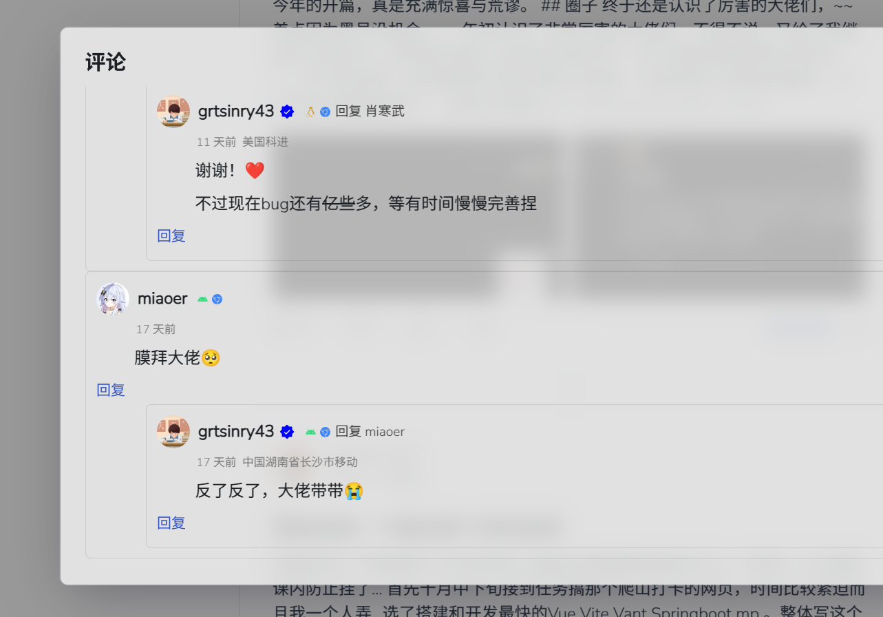评论效果
